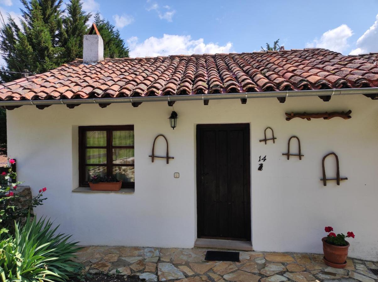 Viviendas Rurales El Covaju Cabezon de Liebana Bagian luar foto